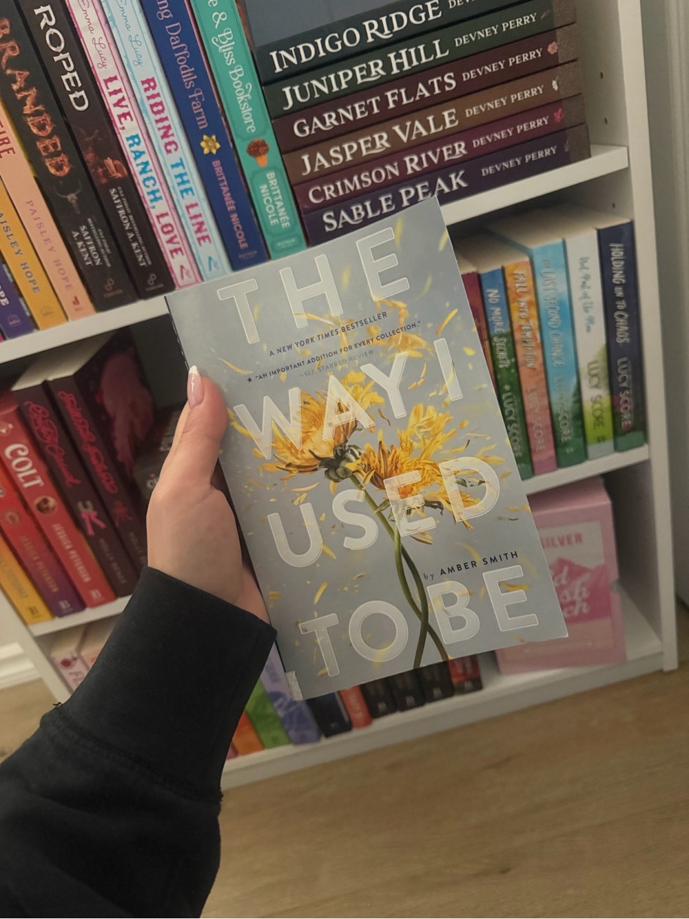 The Way I Used to Be by Amber Smith
